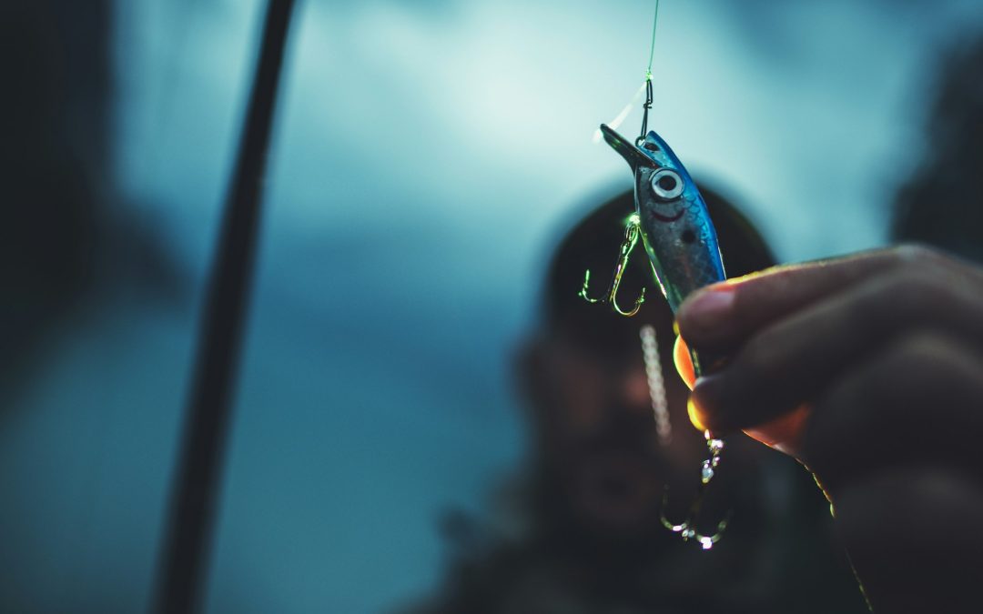 Sustaining the Catch: The Benefits of Keeping a Home Bait Farm for Fishing Success